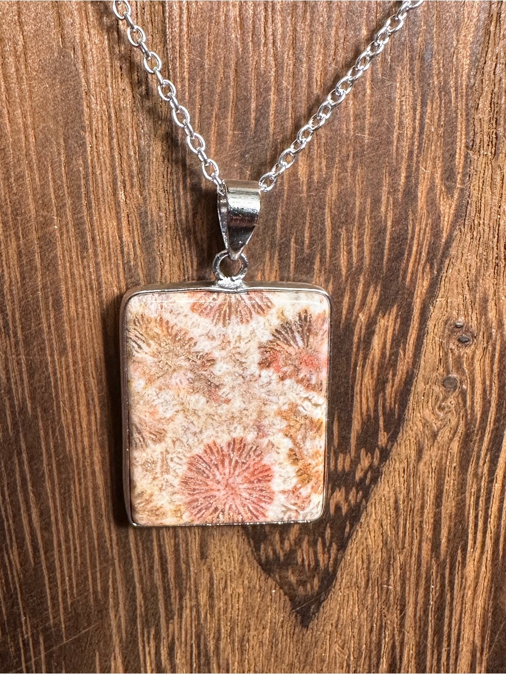 Coral Fossil Pendant Necklace on Silver Plated Box Chain - Picture 10 of 16